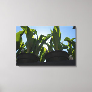 Impressão Em Tela Union Square, Nova Iorque, EUA