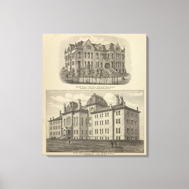 Impressão Em Tela Universidade do Kansas (Frente)