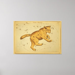 Impressão Em Tela Ursa Major - Imagem do Gráfico de Estrelas Astron