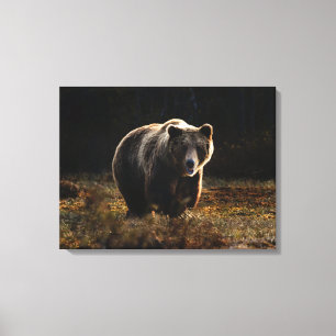 Impressão Em Tela Urso