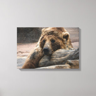 Impressão Em Tela Urso Cinzento - Impressão de tela