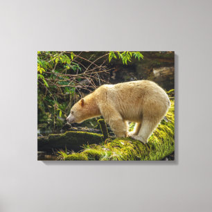 Impressão Em Tela Urso Espírito Branco