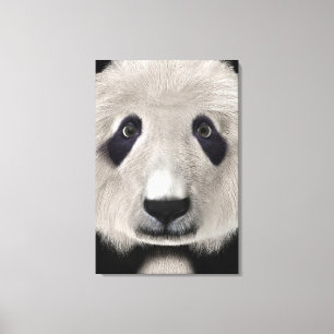 Impressão Em Tela Urso Panda