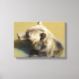 Impressão Em Tela Urso Pardo