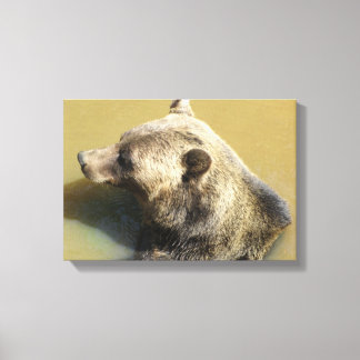 Impressão Em Tela Urso Pardo