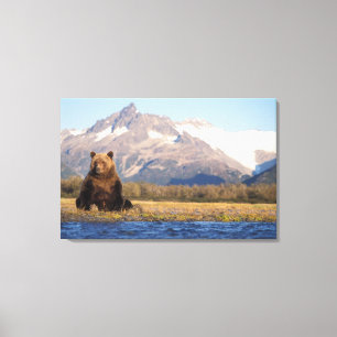 Impressão Em Tela urso pardo, Ursus arctos, urso cinzento, Ursus