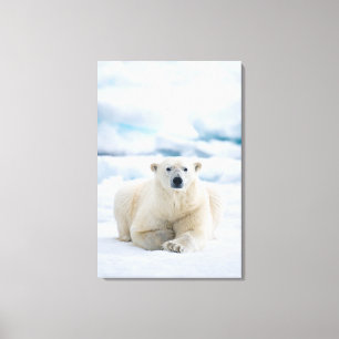 Impressão Em Tela Urso polar adulto no gelo flutuante de verão