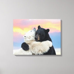 Impressão Em Tela Urso polar e urso preto se abraçando