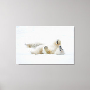 Impressão Em Tela Urso polar rolando na neve, Noruega