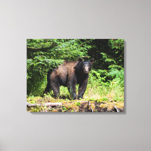Impressão Em Tela Urso Preto Alpha