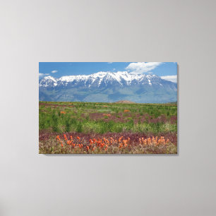 Impressão Em Tela Utah, EUA. O Monte Timpanogos se Eleva