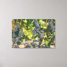 Impressão Em Tela Uvas