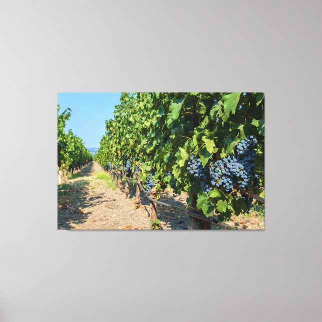 Impressão Em Tela Uvas (Frente)