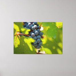 Impressão Em Tela Uvas em Vinha