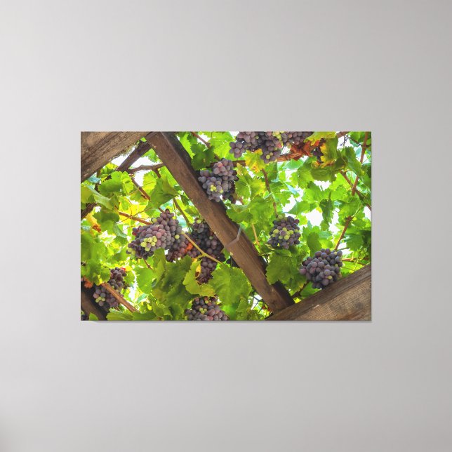 Impressão Em Tela Uvas nas Vinhas (Frente)