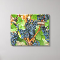 Uvas roxas