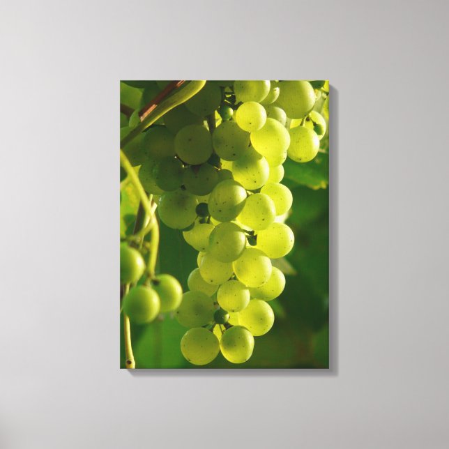 Impressão Em Tela Uvas Verdes na Vinha (Frente)