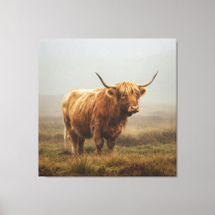 Impressão Em Tela Vaca Highland no DAWN