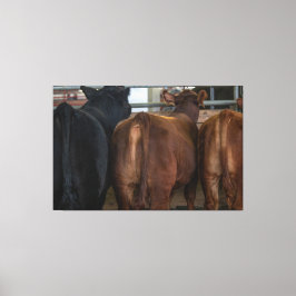 Impressão Em Tela Vacas de trás