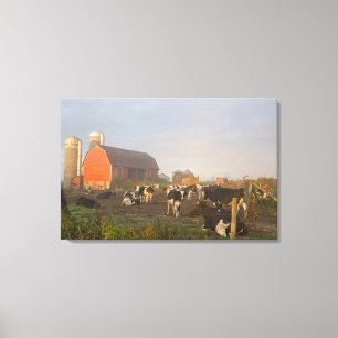 Impressão Em Tela vacas leiteiras Holstein do lado de fora de um cel