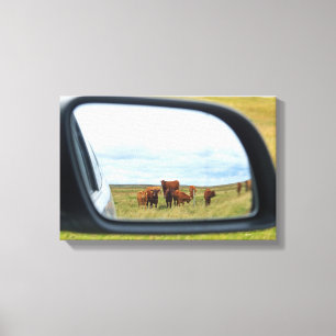 Impressão Em Tela Vacas no espelho