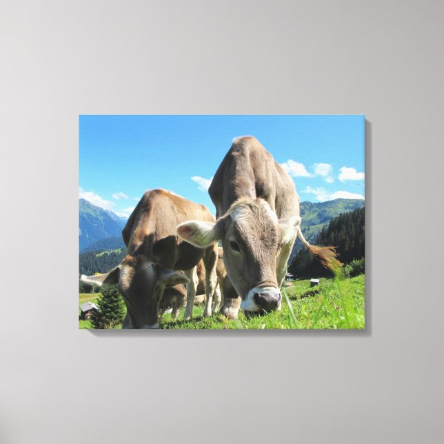 Impressão Em Tela Vacas pastando na Áustria (Frente)