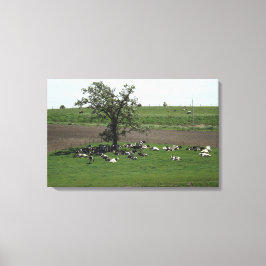 Impressão Em Tela Vacas Sentadas sob uma Árvore Paisagem Agrícola do