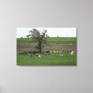 Impressão Em Tela Vacas Sentadas sob uma Árvore Paisagem Agrícola do