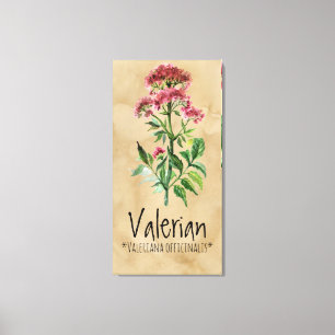 Impressão Em Tela Valerian mágico 21,29" das plantas x 42,05" canva