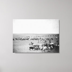 Impressão Em Tela Vaqueiros com o gado na fotografia da escala