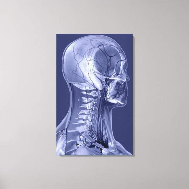 Impressão Em Tela Vasos sanguíneos da cabeça e do pescoço (Frente)