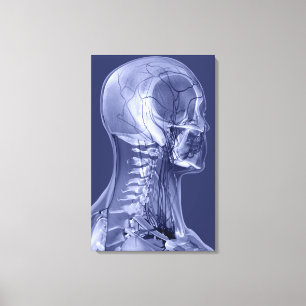 Impressão Em Tela Vasos sanguíneos da cabeça e do pescoço