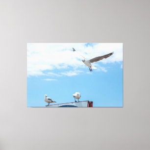 Impressão Em Tela Vazamento Sentado Vísceras Aves Céu Azul