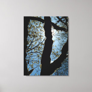 IMPRESSÃO EM TELA VER