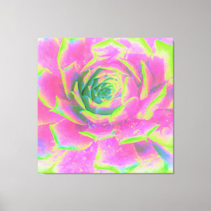 Impressão Em Tela Verde limão e Rosette cor-de-rosa de Sedum do
