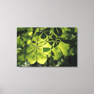 Impressão Em Tela Verde sete folhas do ponto com iluminação de Sun