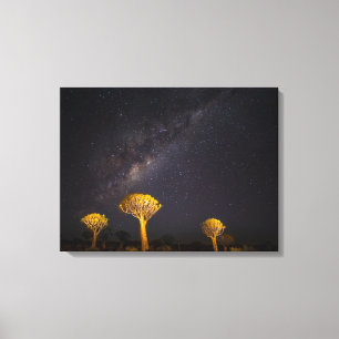 Impressão Em Tela Via Láctea Quiver Tree   Keetmanshoop Namíbia