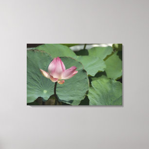 Impressão Em Tela Vietnã, perto de Saigon) Meu Tho. Vinh Trang