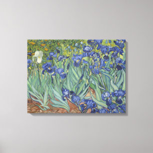 Impressão Em Tela Vincent Van Gogh Irises