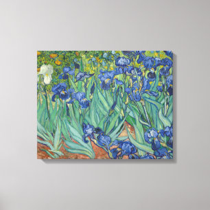 Impressão Em Tela Vincent van Gogh - Irrises