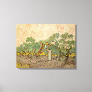 Impressão Em Tela Vincent van Gogh - Mulheres Escolhendo Azeitonas