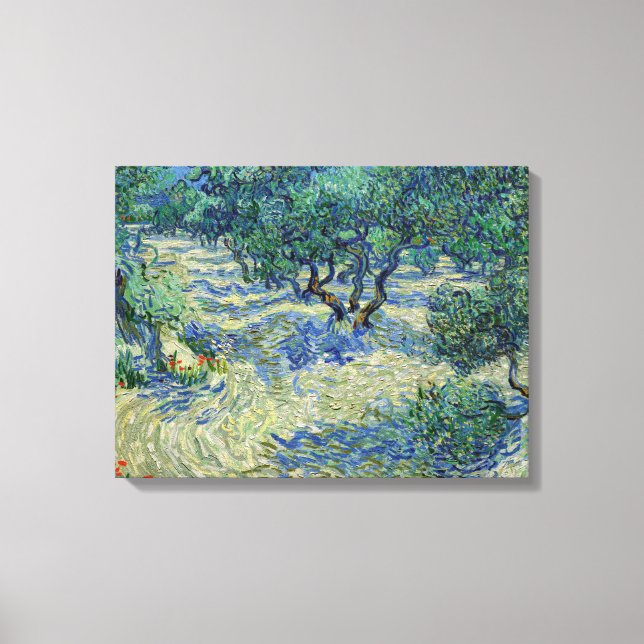 Impressão Em Tela Vincent van Gogh - Olive Orchard (Frente)