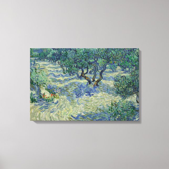 Impressão Em Tela Vincent van Gogh - Olive Orchard (Frente)