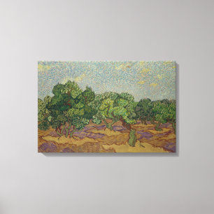 Impressão Em Tela Vincent van Gogh - Oliveiras