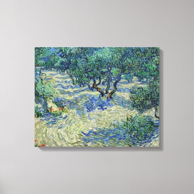 Impressão Em Tela Vincent van Gogh - Pomar de Oliveiras (Frente)