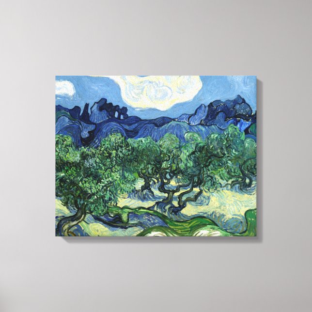 Impressão Em Tela Vincent van Gogh's Olive Trees (Frente)