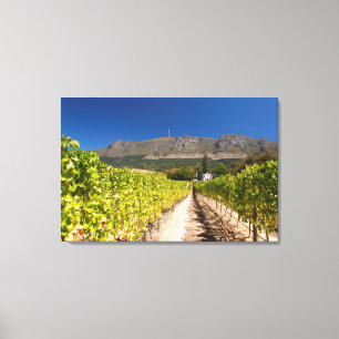 Impressão Em Tela Vineyard, Cape Town, Western Cape, South Africa 2