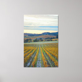 Impressão Em Tela Vineyard no Sunset