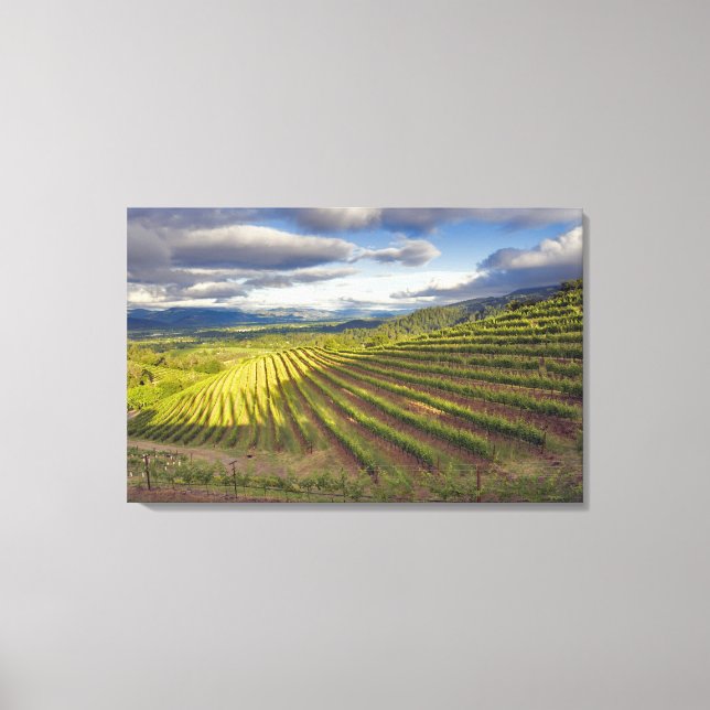 Impressão Em Tela Vineyard. Vale Napa. Napa. Condado de Napa, (Frente)