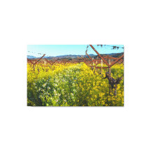 Vinhas e Flores de Mostarda